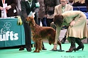 Crufts2011 495